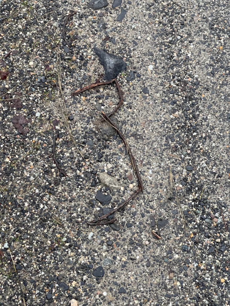 the number three, formed by broken twigs; found on my walk today