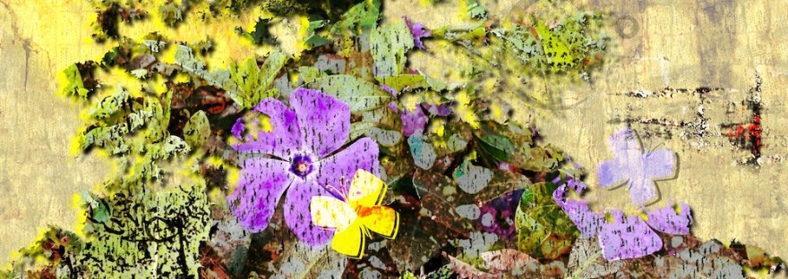 The tree, abstractly