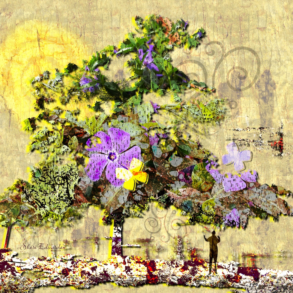 The tree, abstractly