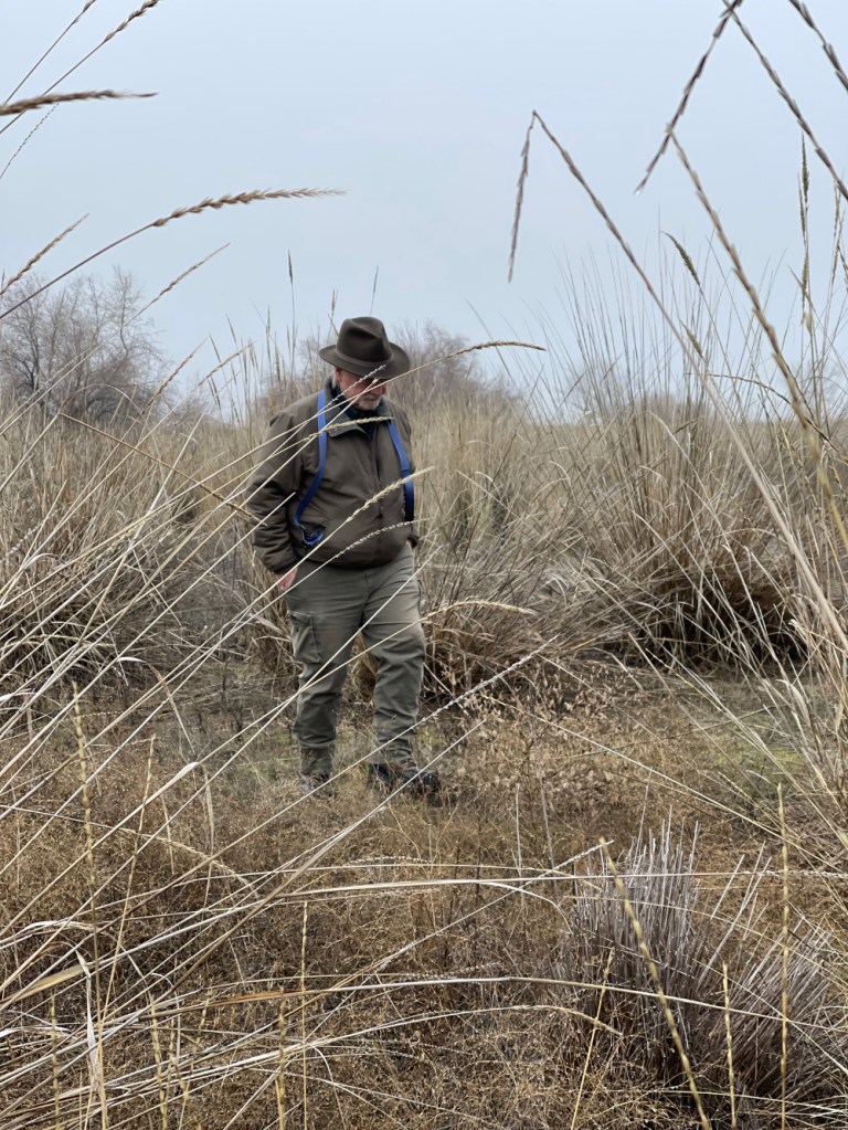 Scott walking through the maze of wild basin rye, a common bunchgrass on the shrub-steppe along Banks Lake and Lake Roosevelt