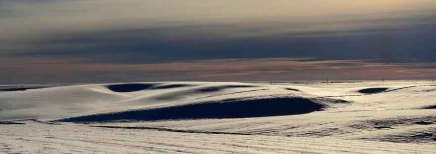 snow covered wheat fields near Wilbur, WA Jan 8, 2022