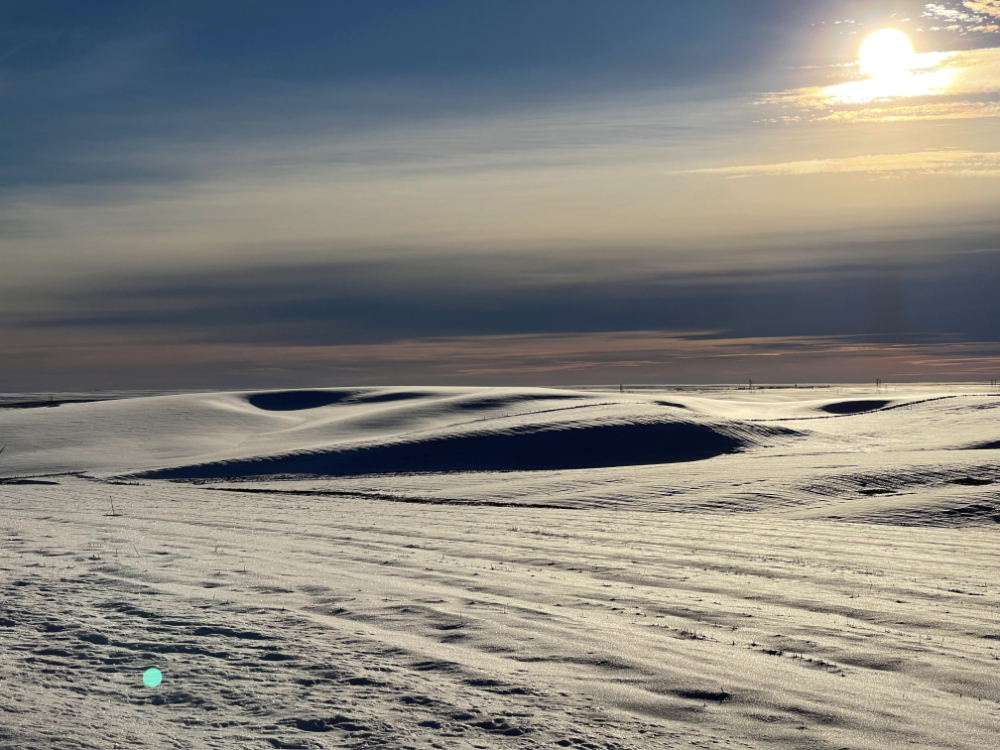 snow covered wheat fields near Wilbur, WA Jan 8, 2022