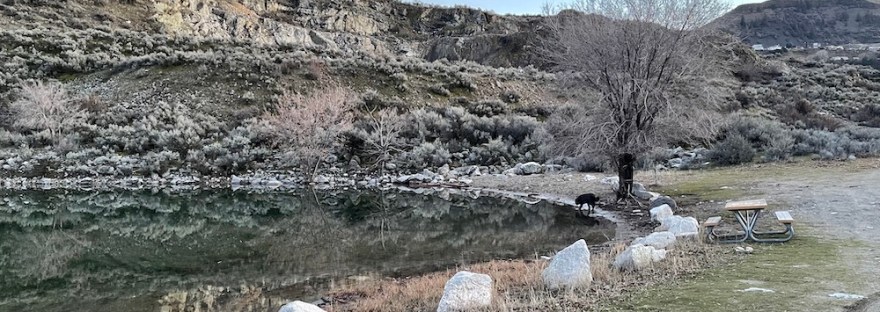 Crescent Bay, still, at a high level, leaving the logs on the shore.