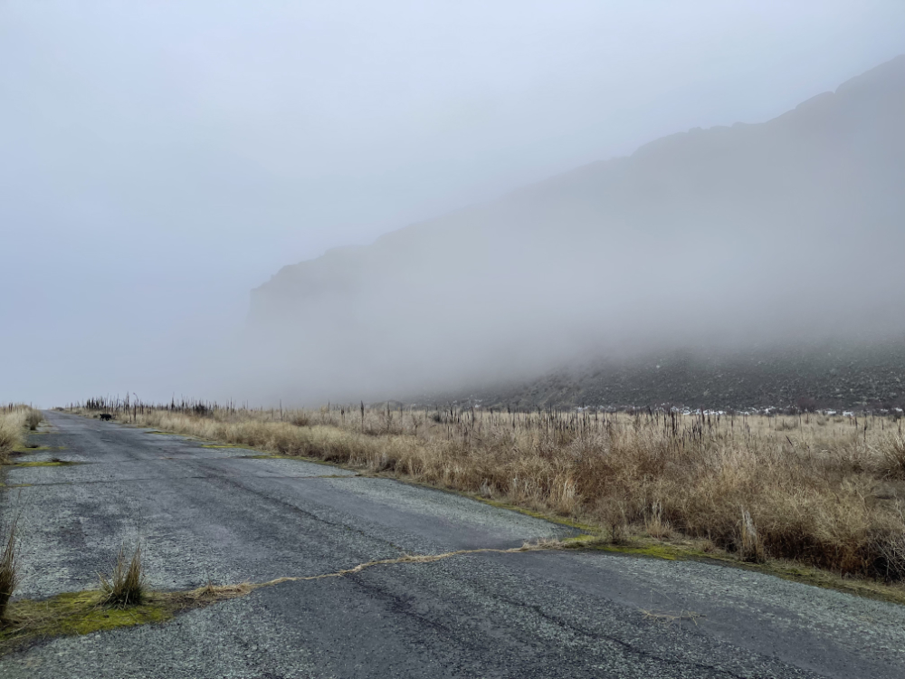 basalt coulee walls disappear within the winter fog