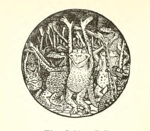 bogles holding their hands up 