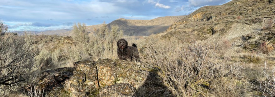Guthrie and I on the top of the hill by Crescent Bay Lake