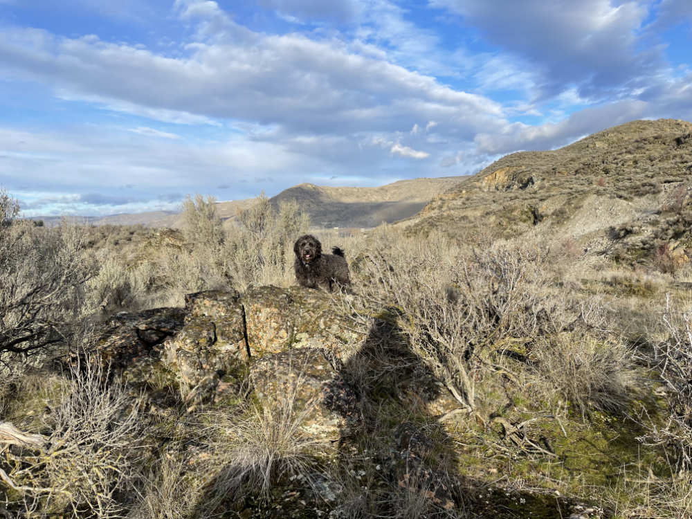 Guthrie and I on the  top of the hill by Crescent Bay Lake