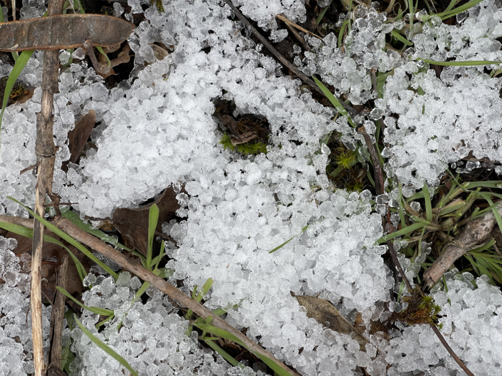 hail in the shade after a sudden storm