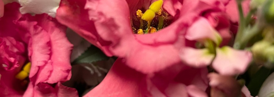 close up of daughter Heather's bouquet for us in the dark times of winter