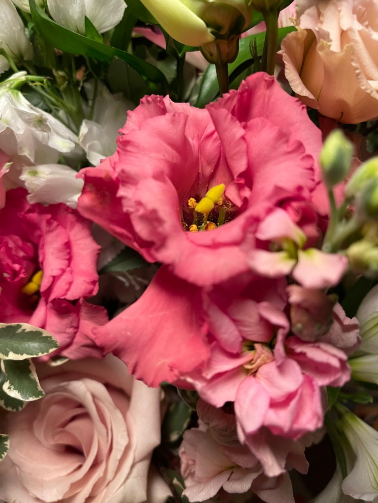 close up of daughter Heather's bouquet for us in the dark times of winter