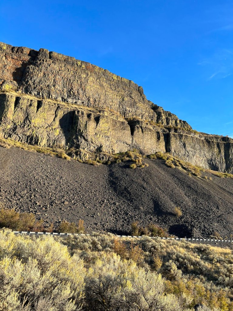 lichen on the coulee walls