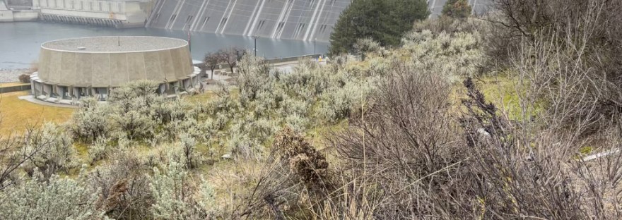 mist rises behind Grand Coulee Dam in February 2024