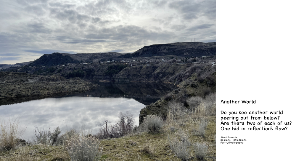 reflections in Crescent Bay Lake look like another world and poem