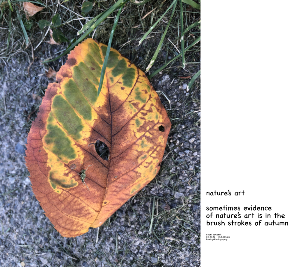 an autumn leaf from October, 2020 showing nature's brush strokes and and poem
