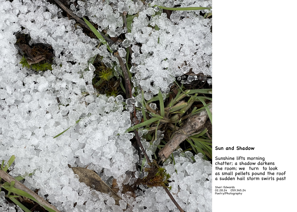 hail in the shade after a sudden storm and poem