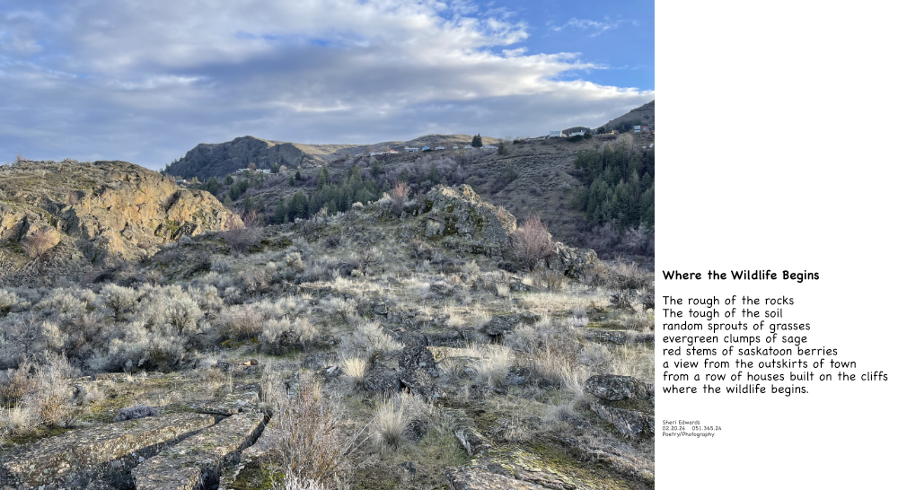 shrub-steppe at the edge of the town of Grand Coulee and the poem