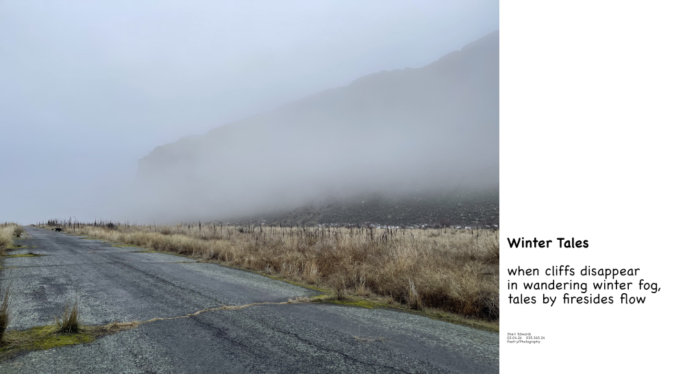 basalt coulee walls disappear within the winter fog and poem