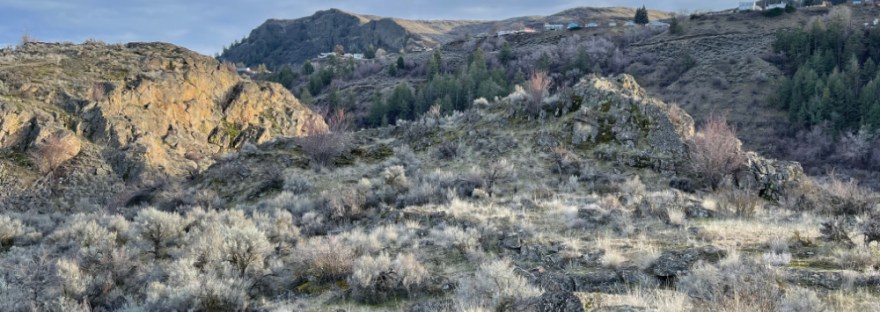 shrub-steppe at the edge of the town of Grand Coulee