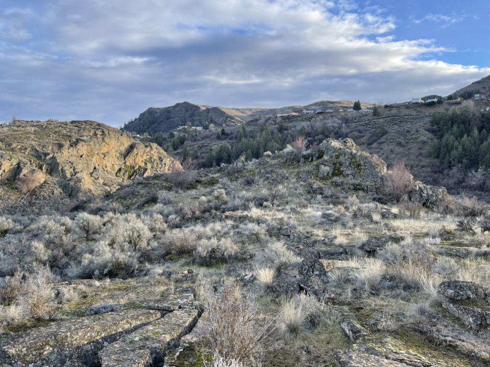 shrub-steppe at the edge of Grand Coulee