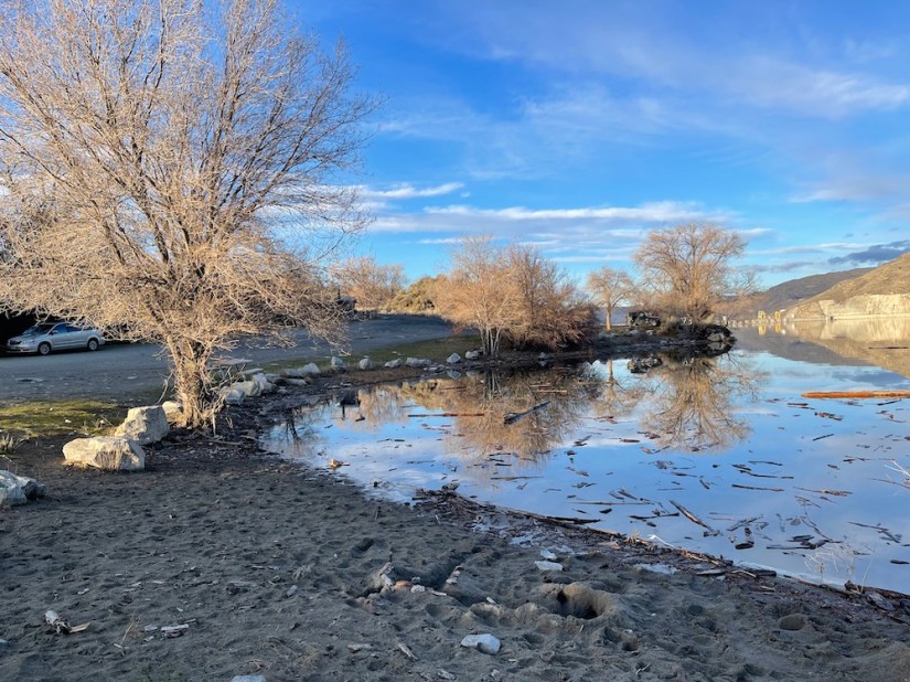 Crescent Bay with logs floating in from other shores as the lake fluctuates in level