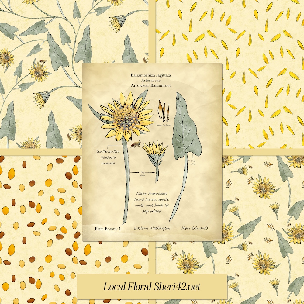 A coordinated set of patterns in cream background and hero element for the #3x3designchallenge  #sketchdesignrepeat  prompt “Local Flora”