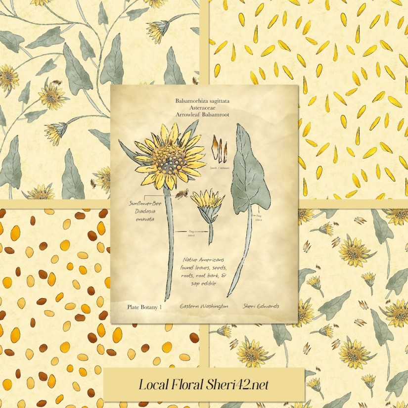 A coordinated set of patterns in cream background and hero element for the #3x3designchallenge  #sketchdesignrepeat  prompt “Local Flora”
