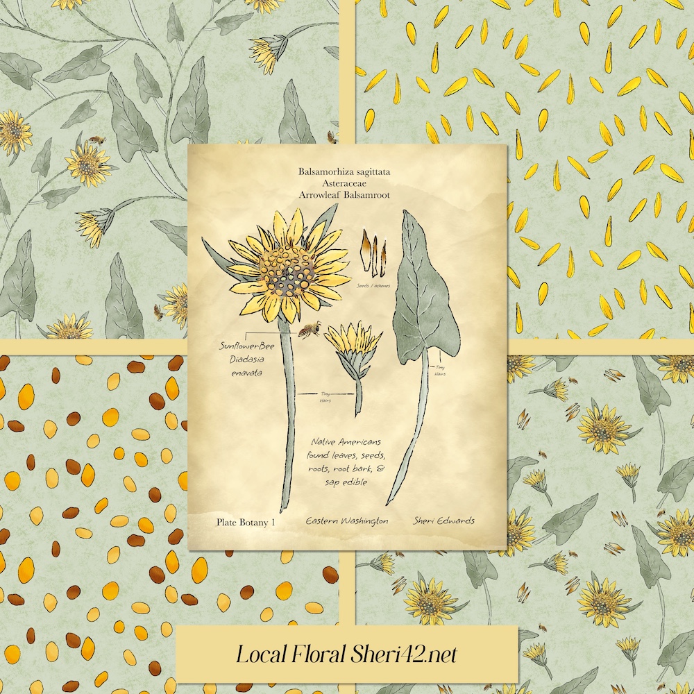 A coordinated set of patterns in green background and hero element for the #3x3designchallenge  #sketchdesignrepeat  prompt “Local Flora”