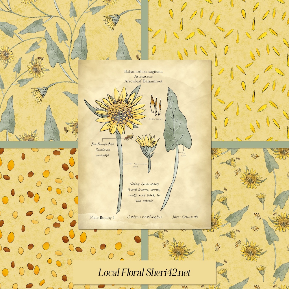 A coordinated set of patterns in yellow background and hero element for the #3x3designchallenge  #sketchdesignrepeat  prompt “Local Flora”