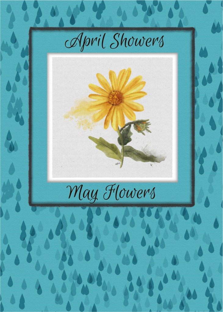 April Showers bring May Flowers greeting card by Sheri42