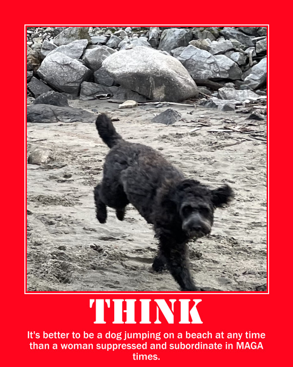 dog on jumping on the beach and quote "Think:
It's better to be a dog jumping on a beach at any time than a woman suppressed and subordinated in MAGA times."