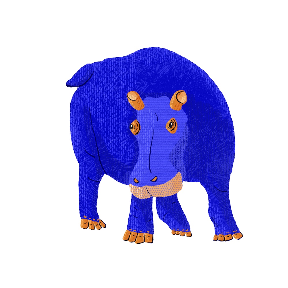 hippo, stylized