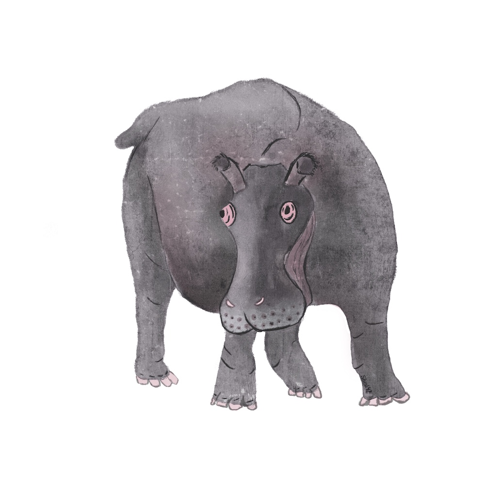 hippo, watercolor, stylized