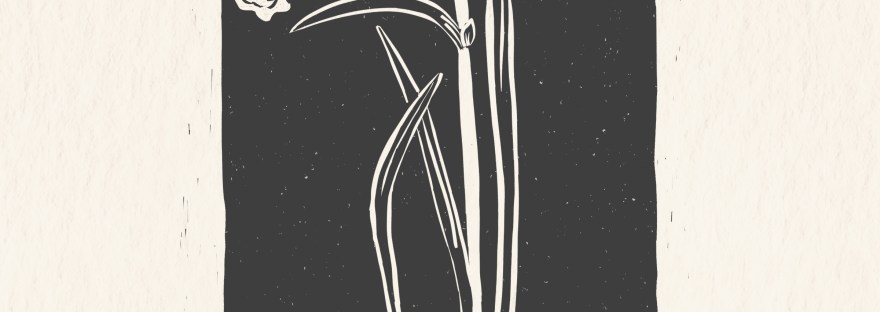 black/white daffodil linocut by Sheri42