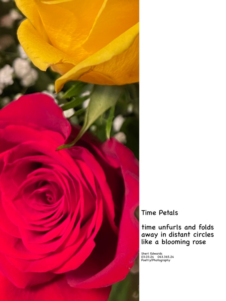 close up of yellow and red roses opening in a bouquet with poem