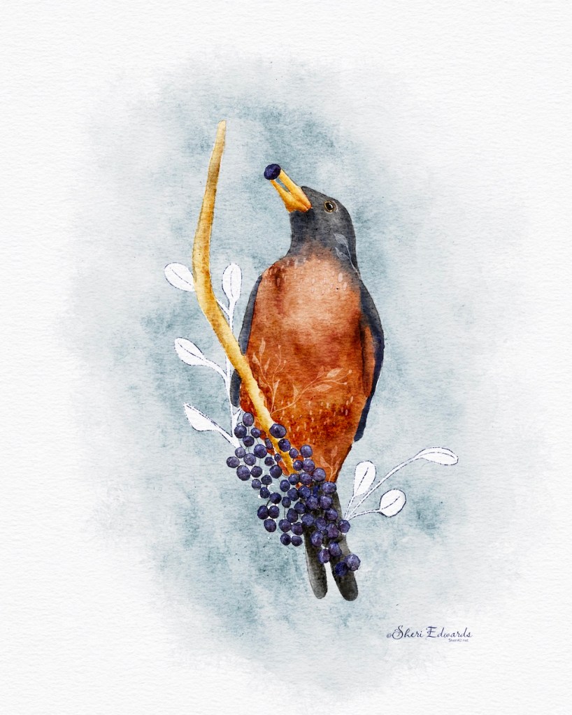 abstract / watercolor illustration of robin with berries by Sheri42