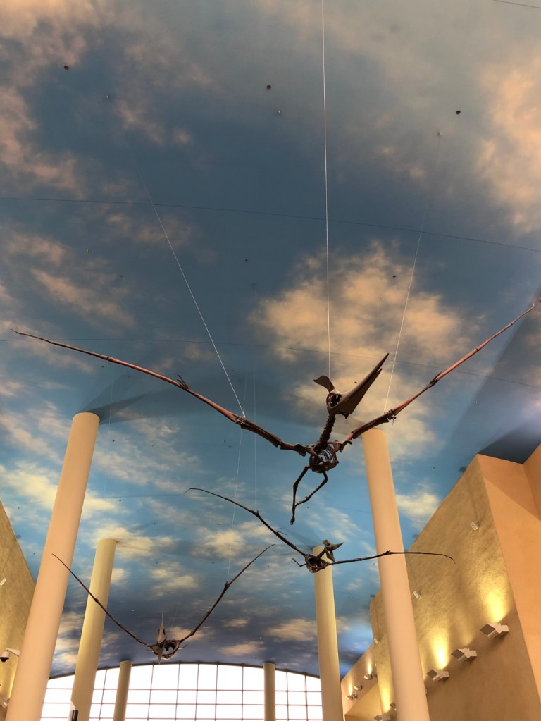 pterosaurs
Pteranodon
toothless flyer
flying reptiles
Bismarck Airport, Bismarck North Dakota