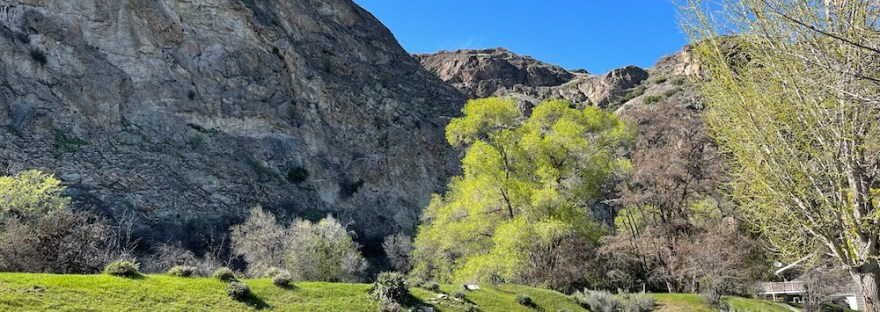 spring green [chartreuse] and sky blue [azure]: the palette of spring