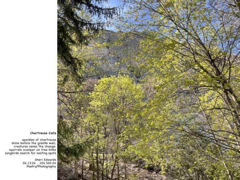 the new leaves of spring are the color of chartreuse and the poem