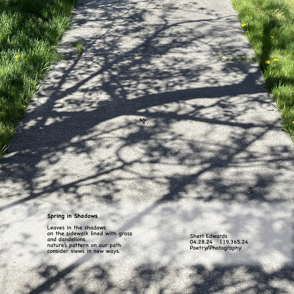 shadows of spring leaves; seeing things in new perspectives and poem

