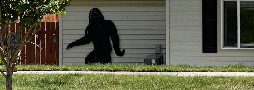 Across the street, the neighbor’s house now has a Bigfoot sculpture, and every time I glance out the window, I stop, thinking it’s someone or something!