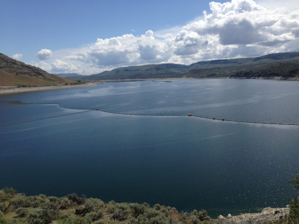 Lake Roosevelt, WA near Grand Coulee Dam
May 18, 2014