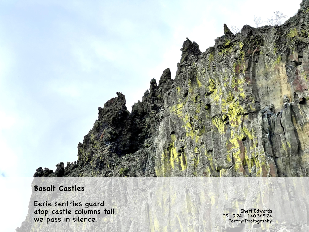 Ancient basalt columns millions of years old still stand hundreds of feet tall in a jagged line against the sky in Dry Coulee of Eastern Washington State and the poem