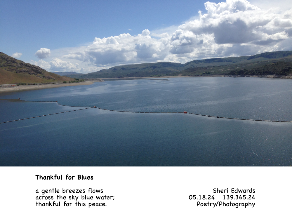 Lake Roosevelt, WA near Grand Coulee Dam
May 18, 2014
 and the poem