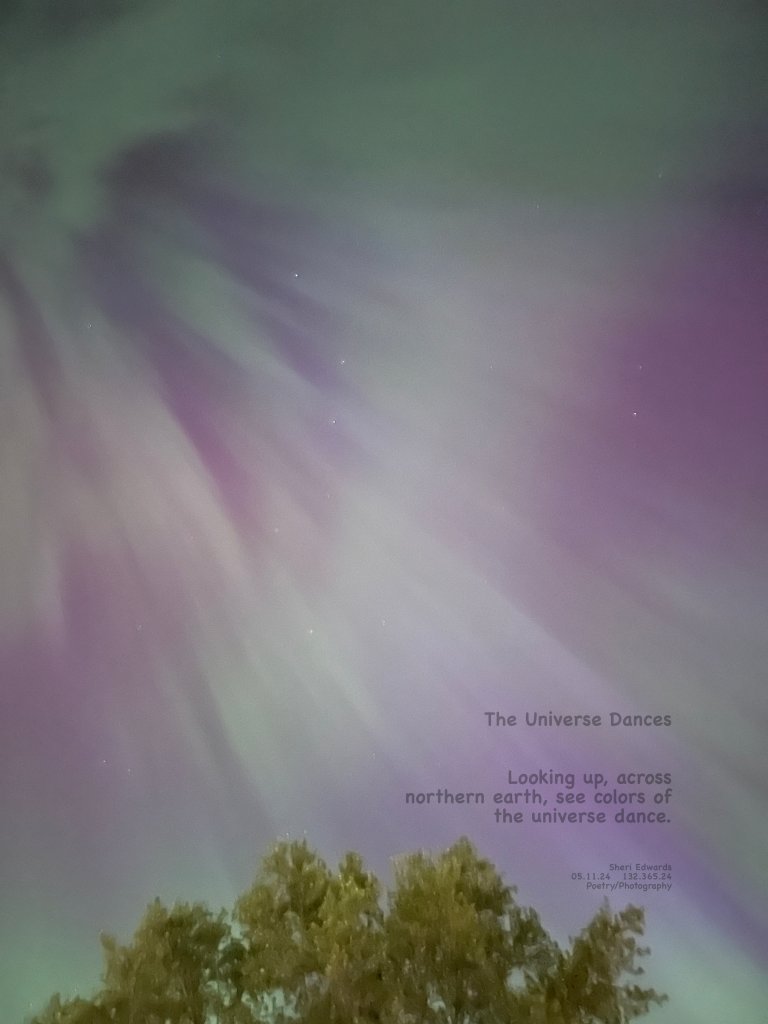 Our sycamore below the Big Dipper surrounded by the Aurora Borealis, the northern lights, on May 10, 2024. and the poem