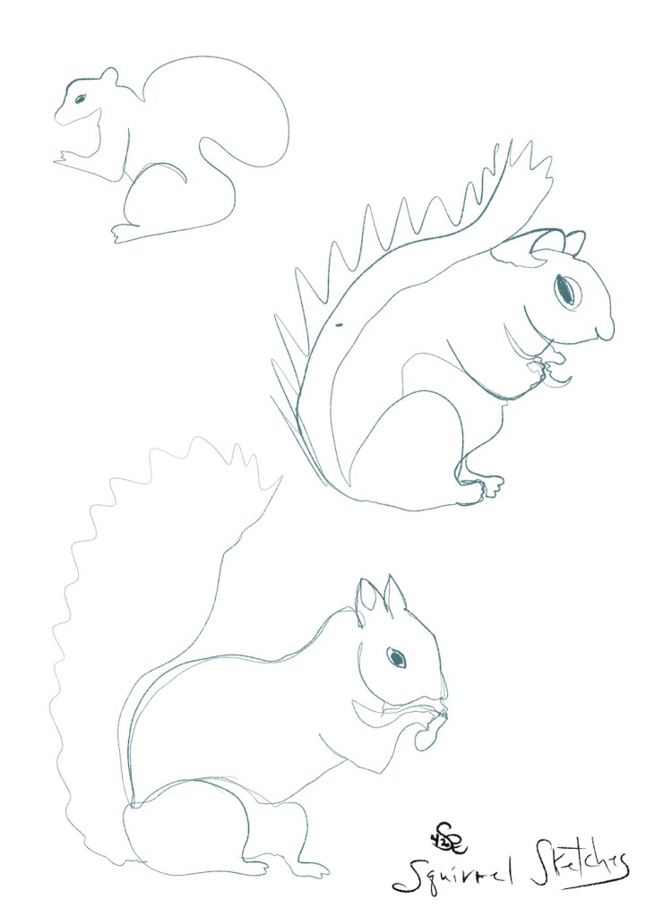 squirrel sketches Sheri42