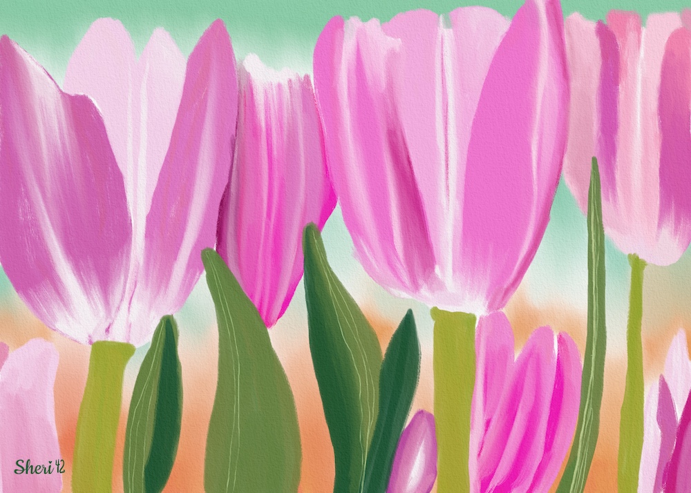tulip with  Sheri42 digital gouache