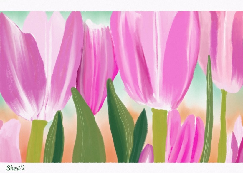 tulip with washi tape Sheri42 digital gouache
