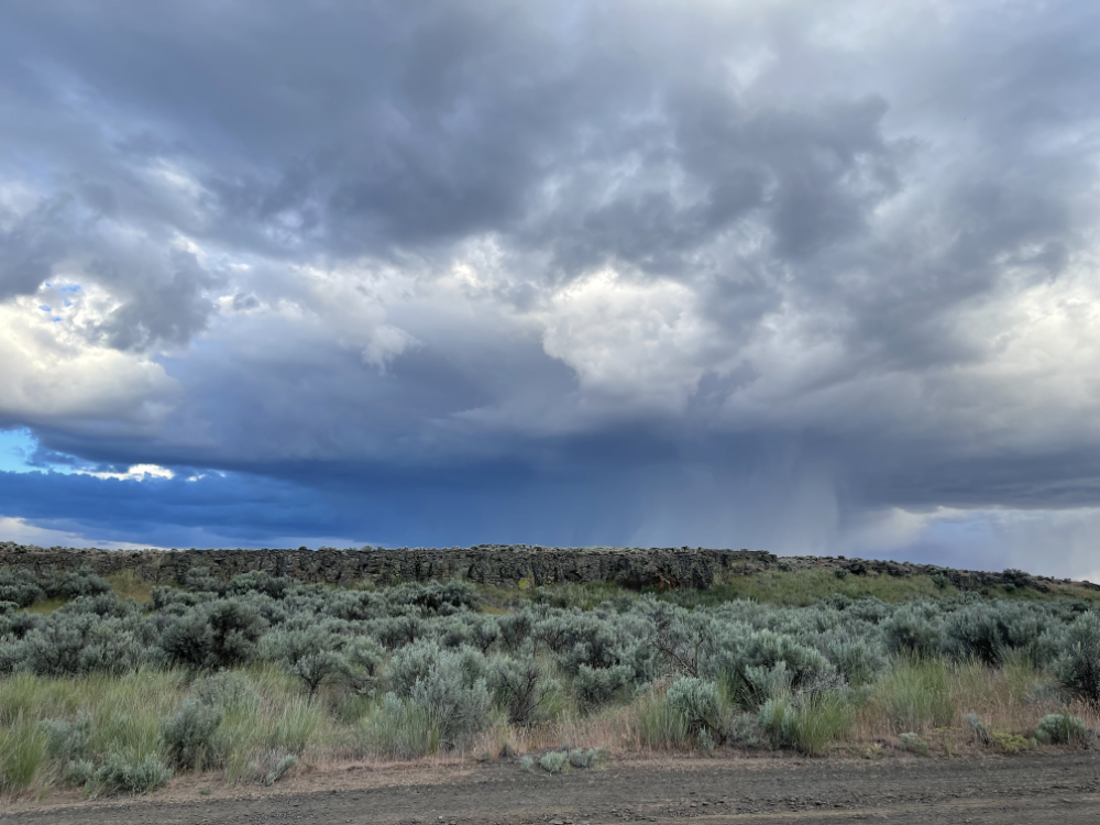 An immense storm cloud coming our way as we explored Dry Coulee told us to drive home.