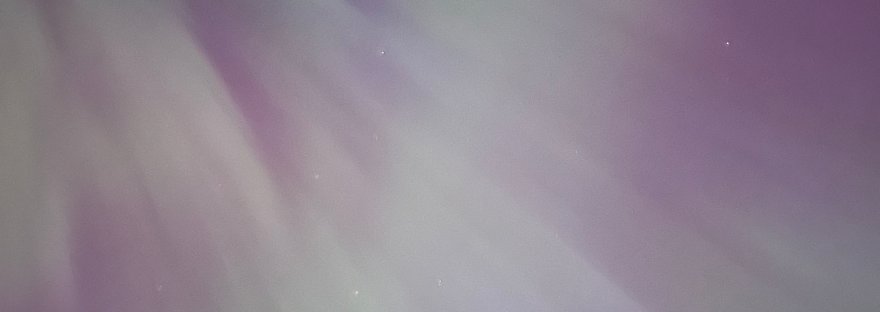 Our sycamore below the Big Dipper surrounded by the Aurora Borealis, the northern lights, on May 10, 2024.