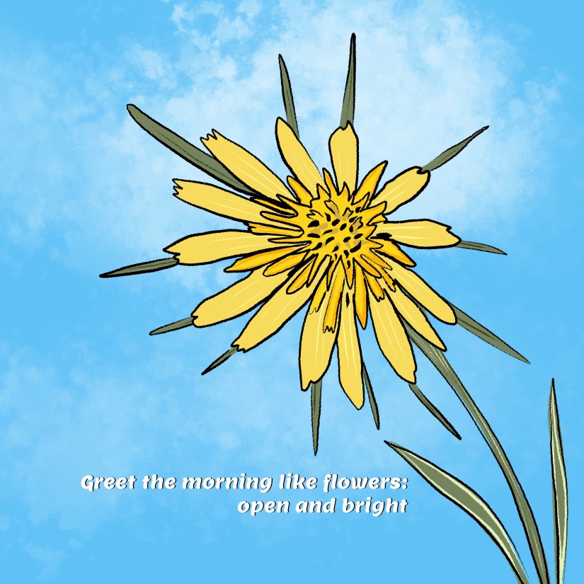 Yellow Salsify and quote: Greet the morning like flowers: open and bright; illustrated by Sheri Edwards Sheri42
